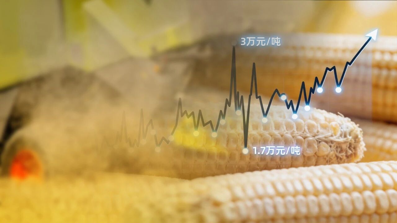 微信图片_2026-05-13_154747_966.jpg