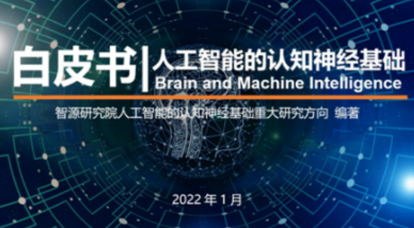 智源发布《人工智能的认知神经基础白皮书》，一览“AI×脑科学”前沿