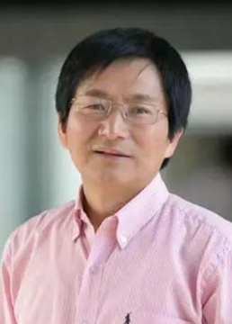 王文
