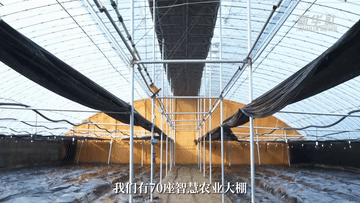 1.gif