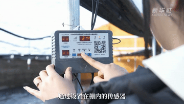 2.gif